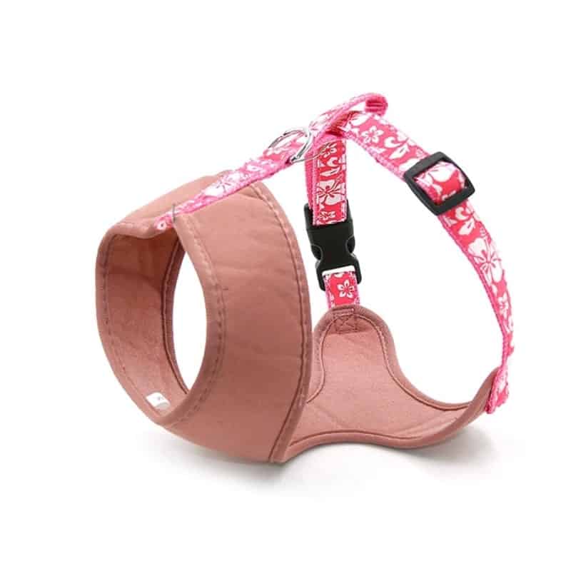 稿定设计导出 20210903 101542 min