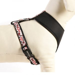 稿定设计导出 20210903 101719 min