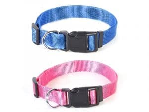 稿定设计导出 20210908 081708 min