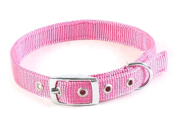 稿定设计导出 20210908 083525