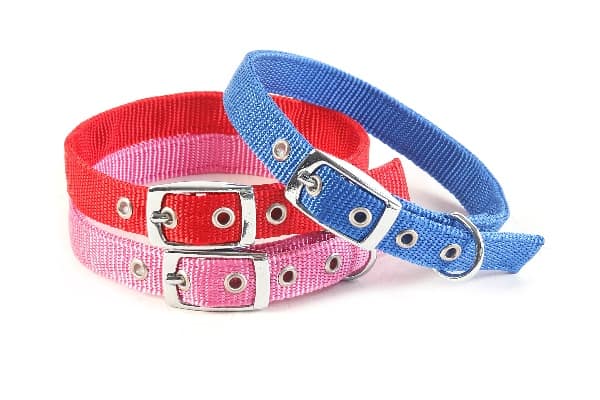 稿定设计导出 20210908 083543