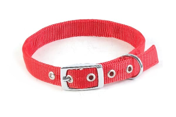 稿定设计导出 20210908 083609