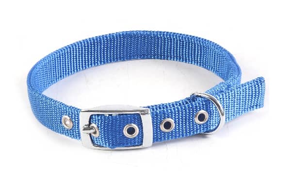 稿定设计导出 20210908 083629