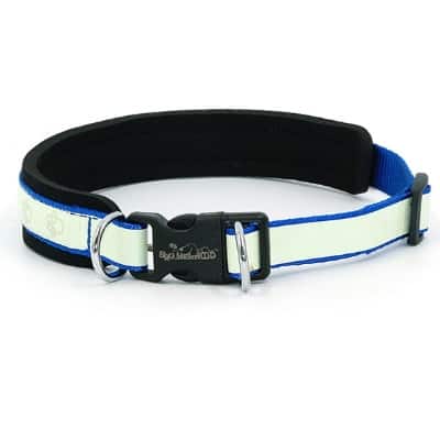 稿定设计导出 20210910 111641