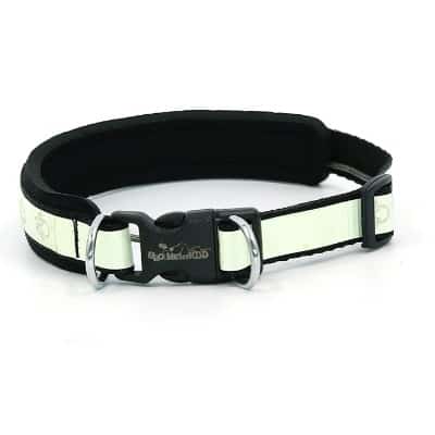 稿定设计导出 20210910 111654